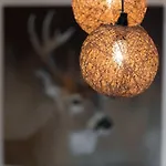 Apartmán La Clairiere Aux Cerfs Ventron