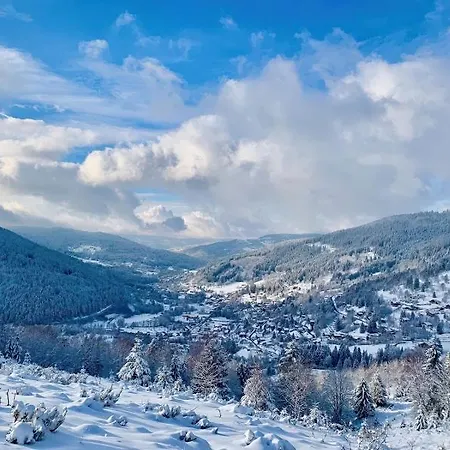 La Clairiere Aux Cerfs Ventron