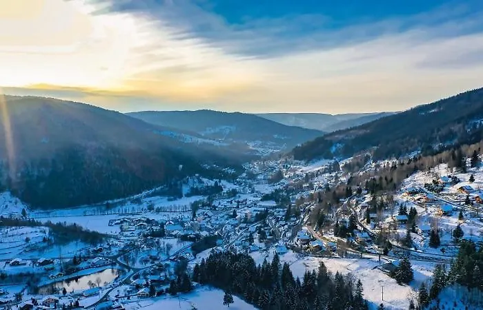 La Clairiere Aux Cerfs *